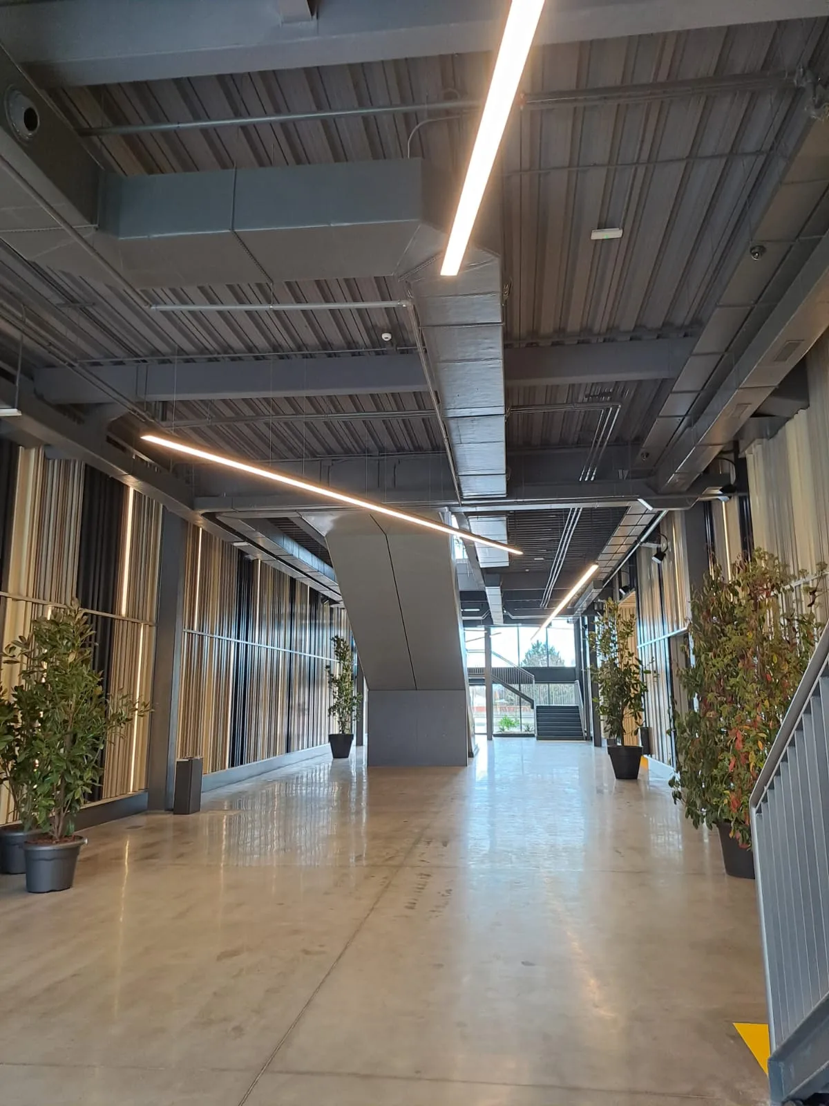 Human Centric Lighting: Iluminación que Mejora la Calidad de Vida