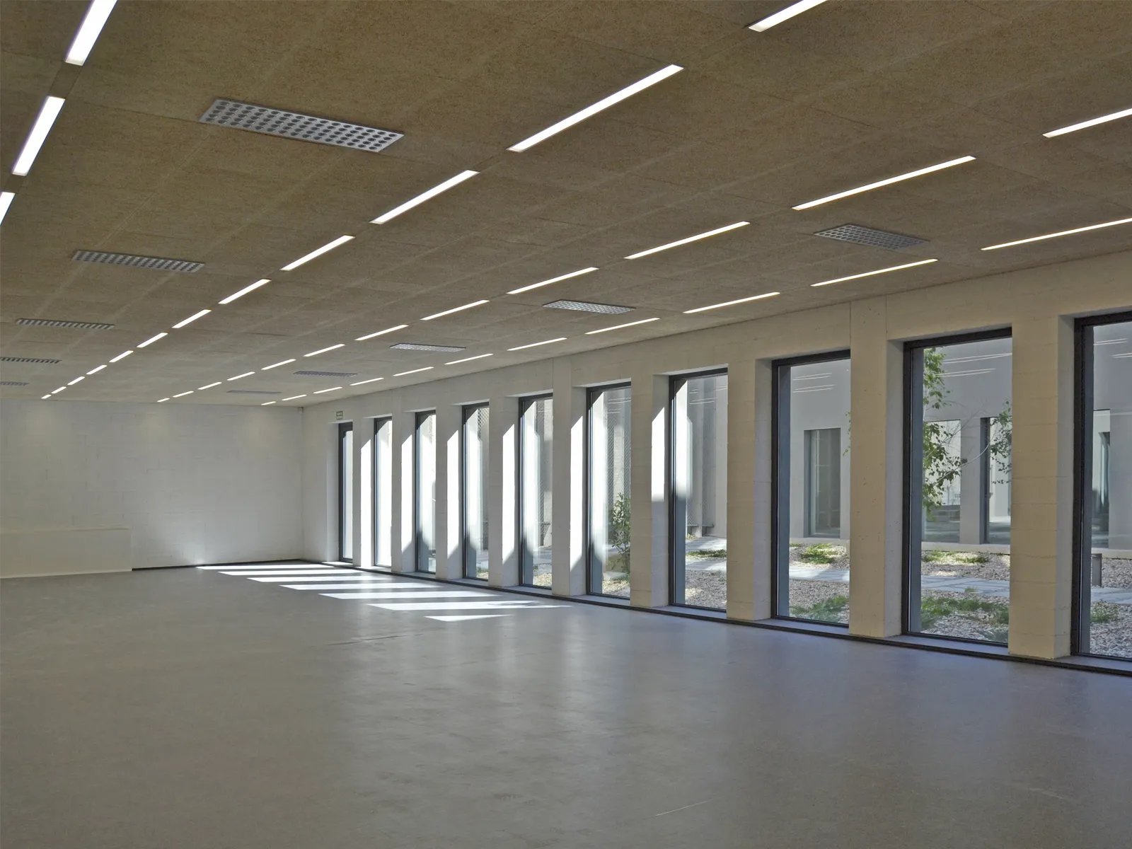 Universität Maria Zambrano