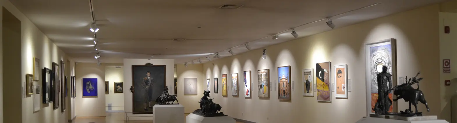 Slider 2 - Proyectores a carril - Celux Iluminación