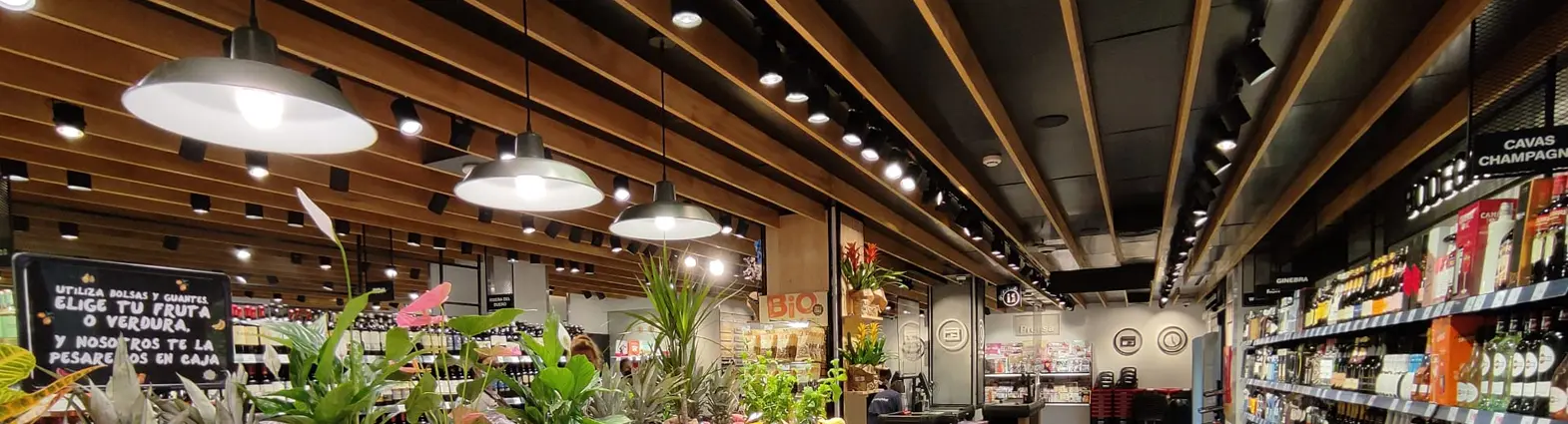 Slider 3 - Proyectores a carril - Celux Iluminación